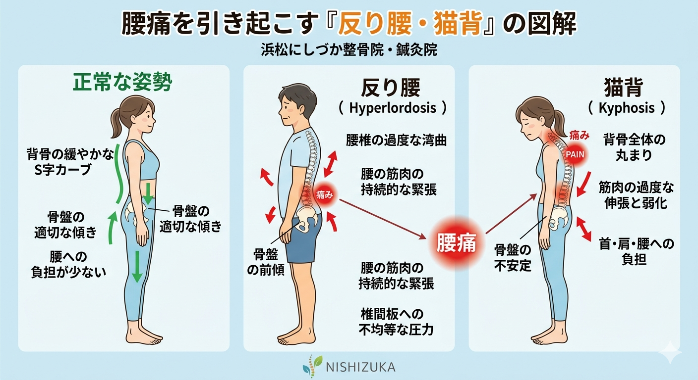 浜松市で「繰り返す腰痛」に終止符を｜痛みの原因を「見える化」する根本ケア